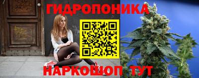 ешки Аша